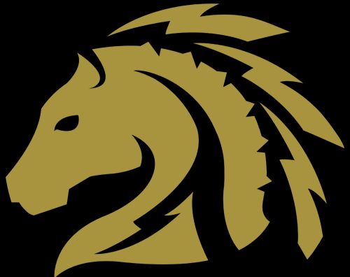 QuikTrip Pioneers Gaming