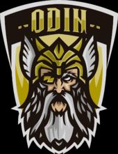 Odin Gaming (Valorant)