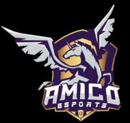 Amico Esports