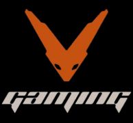 V-Gaming