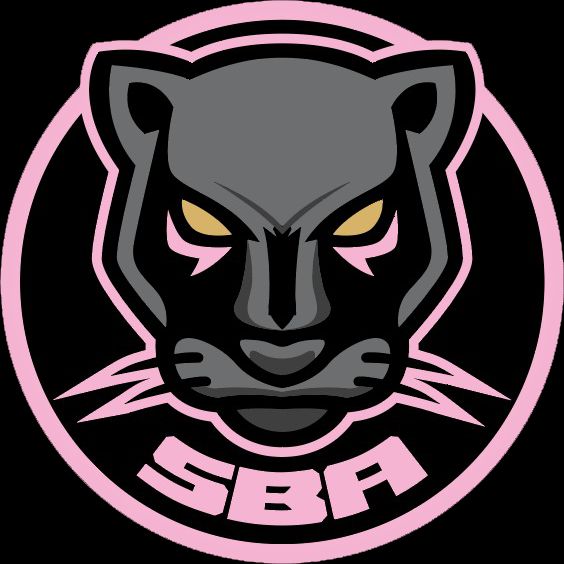 Sport Boys Association