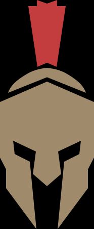 Reversal Destiny Gaming (LoLWR)