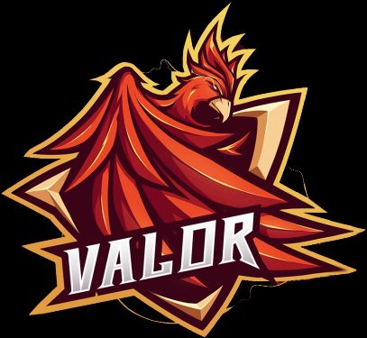 Team Valor