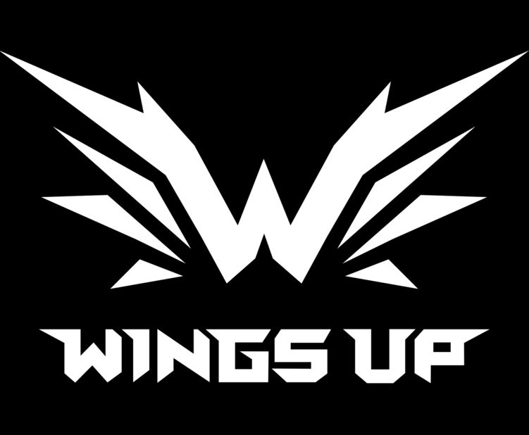 Wings Up Gaming