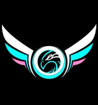 Team Origin