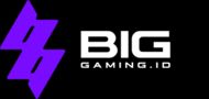 BIG GAMING ID