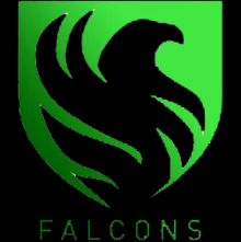 Falcons | FC