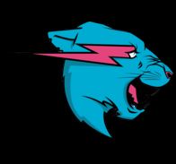 Team MrBeast