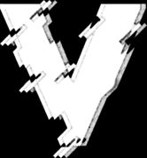 Valiant Esports (Valorant)