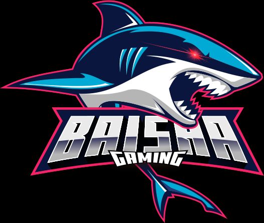 Baisha Gaming