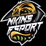 Nkins Esports
