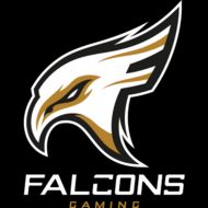 Falcons Gaming (Free Fire)