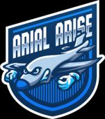 Arial Arise