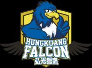 Hungkuang Falcon