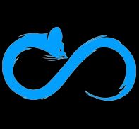 Infinity X (Valorant)