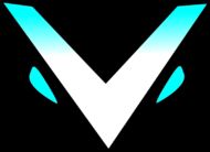 Vision Esports (Valorant)