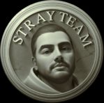 Stray Team