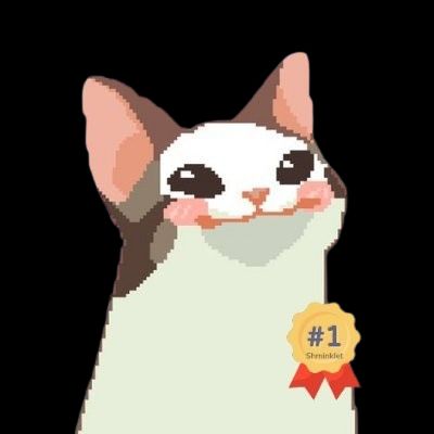 Shminklet's Warriors (RL)