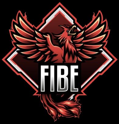 FireBird Esports