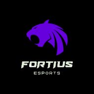 Fortius Untitled UMN