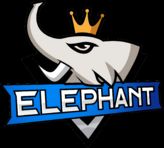 Elephant | AoE