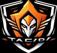 Team Academy (Free Fire)