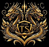 Team TS (PUBG)