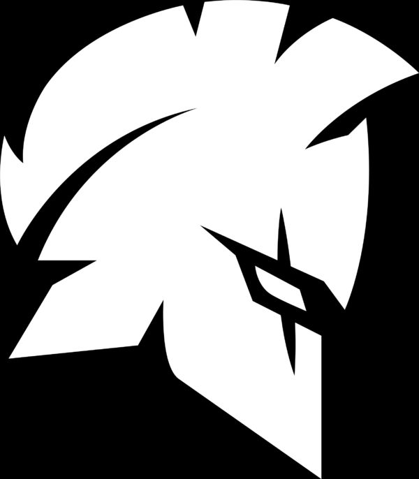 Team Brave Soldiers Esports
