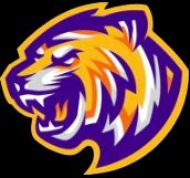 Louisiana State University