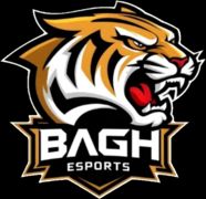 Bagh Esports (PUBG Mobile)