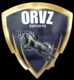 ORVZ Esports