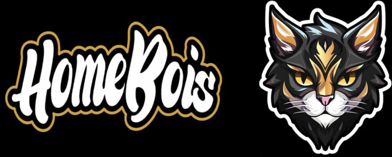 HomeBois x Maqna Esports