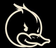 Duck Rice Esports