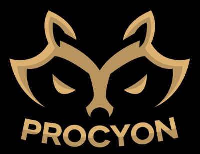 Procyon Team