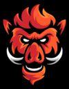 Boars Gaming (CS2)