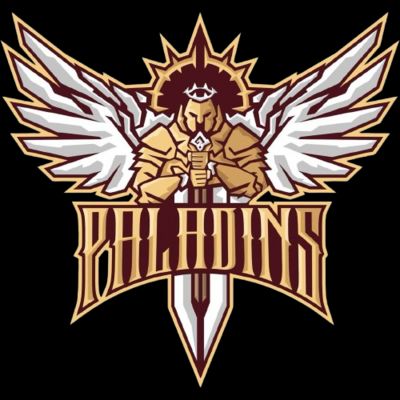 Paladins