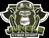JUNGLE TEAM (CS2)