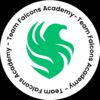 Falcons Academy