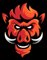 Boars Gaming
